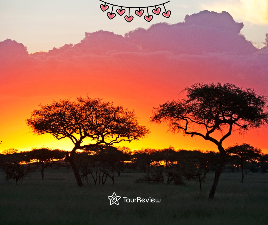 Serengeti, Tanzania for Valentine's Day